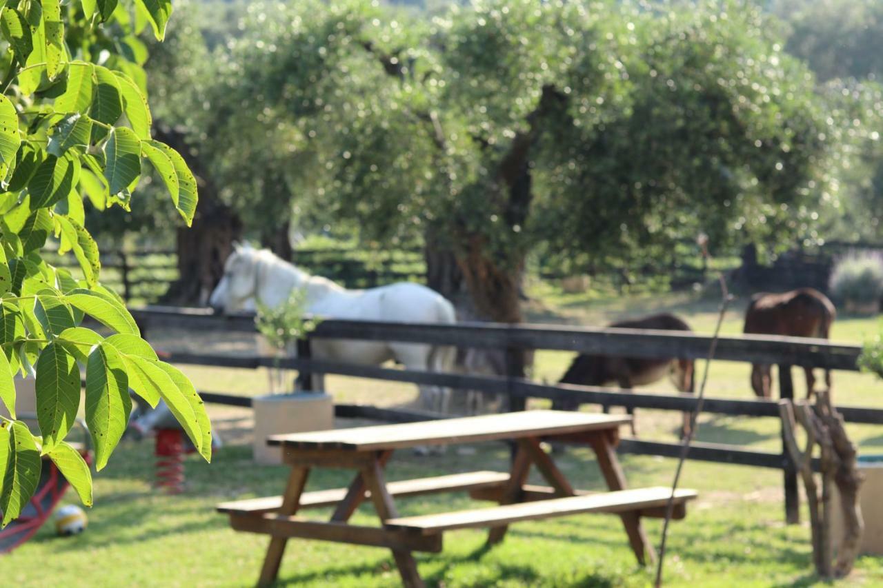Honigtal Farmland Villa Agios Georgios Pagon Exterior foto