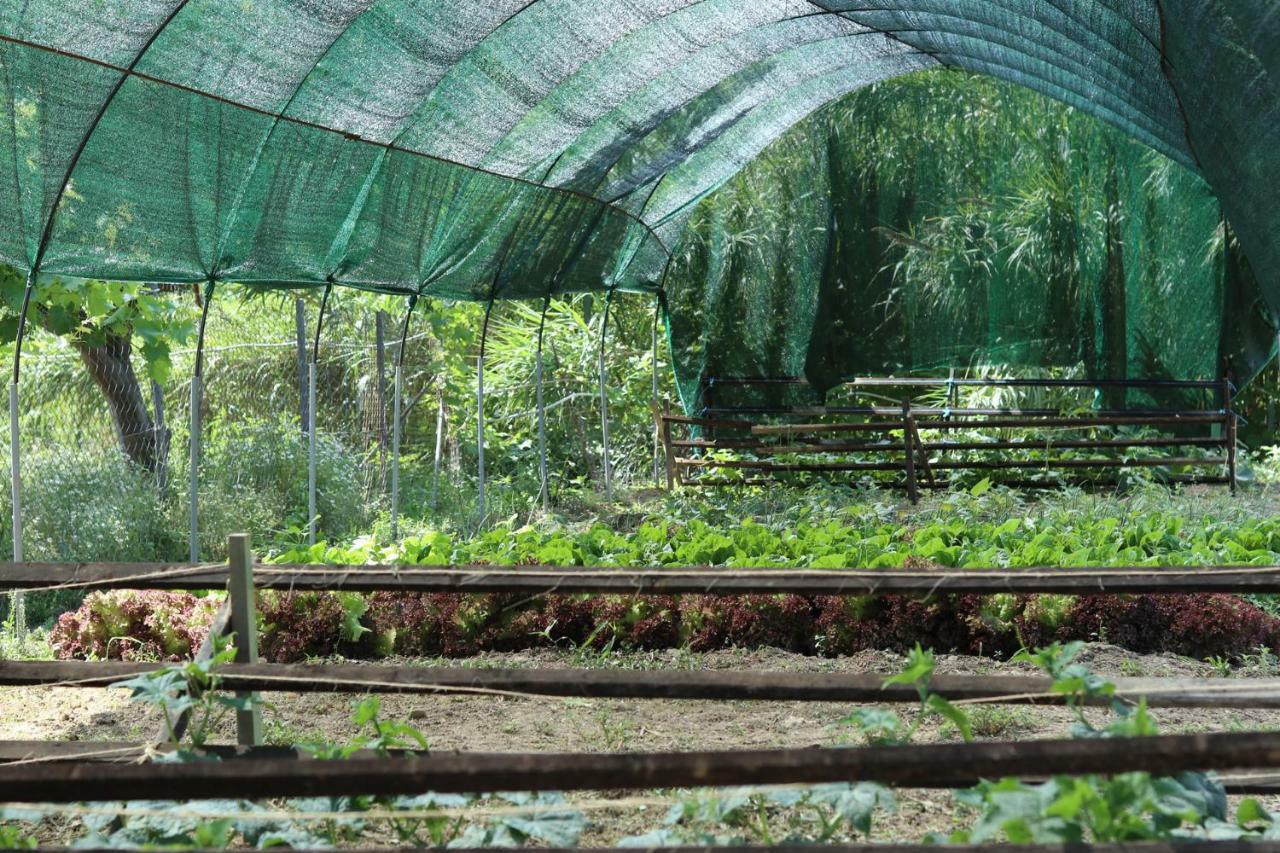 Honigtal Farmland Villa Agios Georgios Pagon Exterior foto